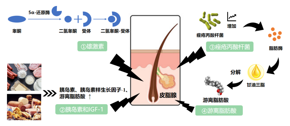 祛痘產(chǎn)品,祛痘功效測(cè)定,化妝品,監(jiān)督