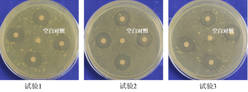 祛痘產(chǎn)品,祛痘功效測(cè)定,化妝品,監(jiān)督