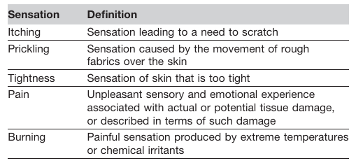 頭皮,健康,頭皮脫屑,頭皮皮脂